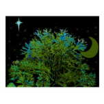 Tree Blues Postcard