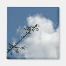 Tree Branch against Blue Sky Fridge Magnets