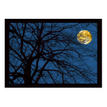 Tree Branches Full Moon Business Card