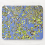 Tree Branches & Seed Balls Mouse Pad