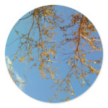 Tree Branches stickers