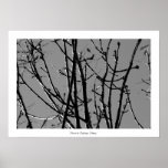 Tree branchs II posters