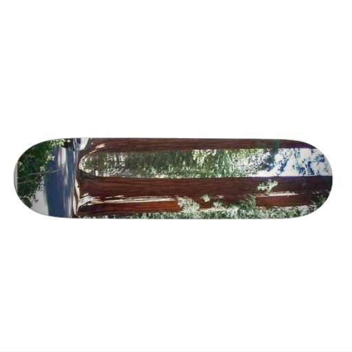 Tree Car Sequoia Park Skate Decks