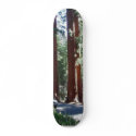 Tree Car Sequoia Park skateboards