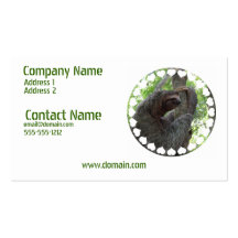 Tree Climbing Sloth Busines Card Business Card Templates
