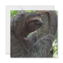 Tree Climbing Sloth Invitation