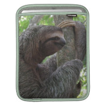 Tree Climbing Sloth iPad Sleeve