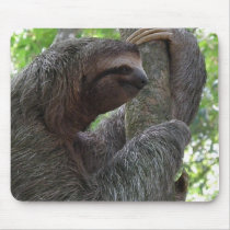 Tree Climbing Sloth Mouse Pad