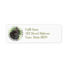 Tree Climbing Sloth Return Address Label