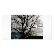 Tree Custom Photo Card