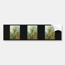Tree Fern Bumper Stickers