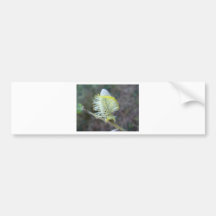 Tree flower 1 bumper stickers