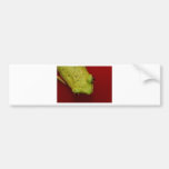 tree frog bumper sticker
