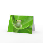 Tree Frog Card