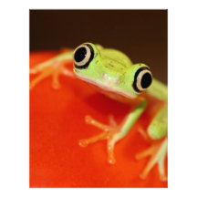 tree frog letterhead template