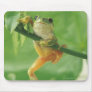 Tree Frog Mousepads