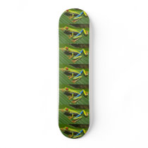 Tree Frog Skate Board