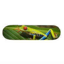 Tree Frog Skateboard