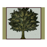 Tree Garden Card Post Card