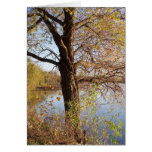 tree greeting Card