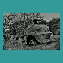 tree growing through old truck in black and white, posters