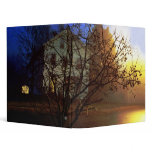 Tree House – Gold and Blue Glory binders