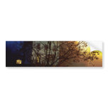 Tree House – Gold and Blue Glory bumper stickers