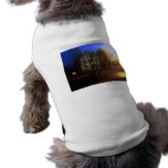 Tree House – Gold and Blue Glory pet clothing