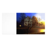 Tree House – Gold and Blue Glory photo cards