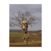 Tree House Post Card