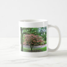 Tree in bloom Blarney Castle , Ireland Coffee Mugs