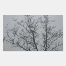 Tree in the fog rectangular stickers