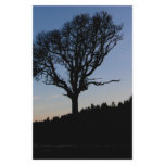 Tree in the morning personalized stationery