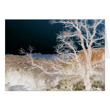 Tree In Winter Greeting Card