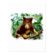 Tree kangaroo postcard