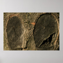 Tree Knots Bark! Print