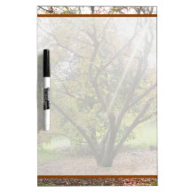 Tree Light Ray Autumn Dry Erase Board