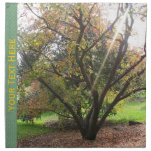 Tree Light Ray Autumn Napkins