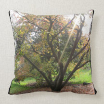 Tree Light Ray Autumn Pillow