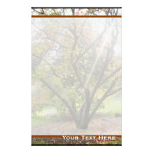 Tree Light Ray Autumn Stationery