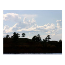 Tree Line at glendo Postcard