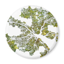 Tree Fridge Magnet