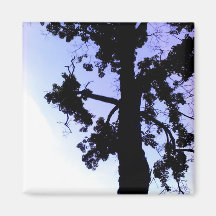 tree magnet
