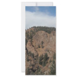 Tree mountan landscape rack cards