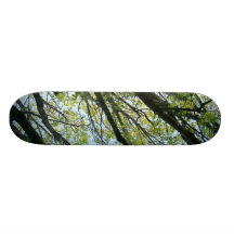 Tree Nature Skateboard