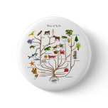 Tree Of Life buttons