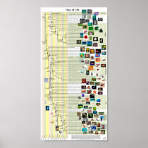Tree of Life evolution poster