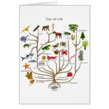 Tree Of Life Greeting Card