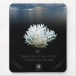 TREE OF LIFE