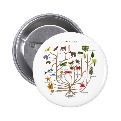 Tree Of Life Pinback Button